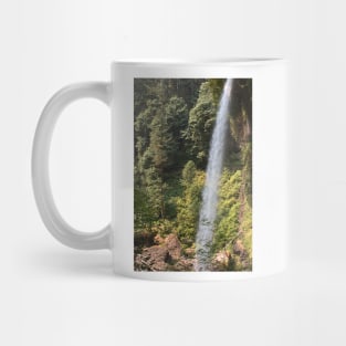 North Falls D Mug